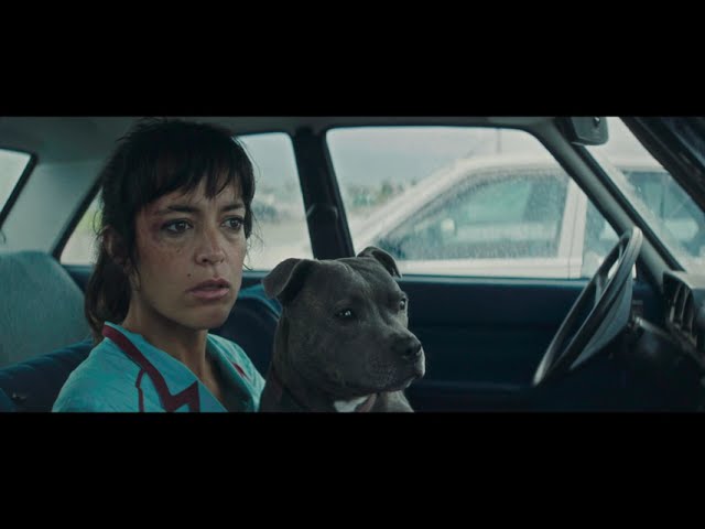 Extract 1 - VINCENT DOIT MOURIR (Vincent must die) dir. Stéphan Castang (VOSTEN)