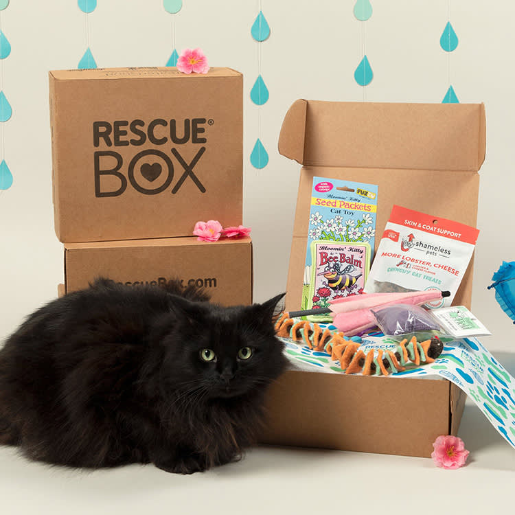 cat subscription box collage