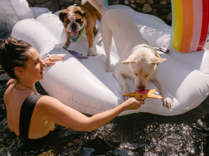 A woman in a black swimsuit in the pool offering a star shaped pool toy to one of two dogs on a rainbow pool raft
