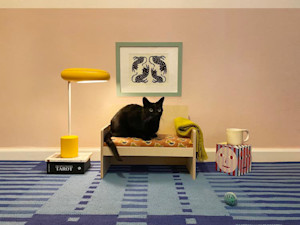 Cat sitting on a couch at home