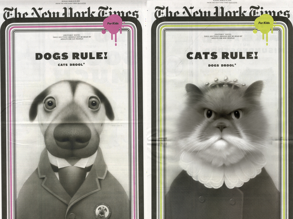 travis louie the new york times covers