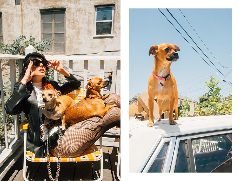 Dani Miller and her two dogs