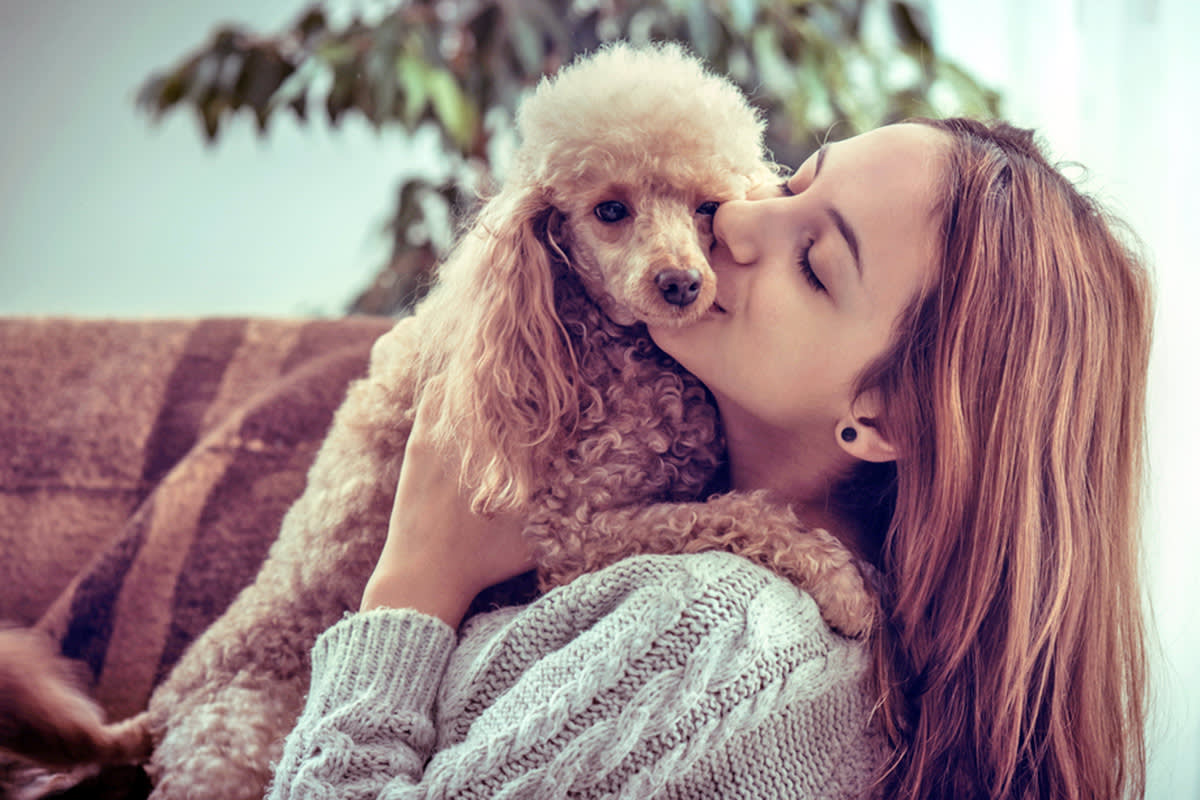 Person kissing a dog