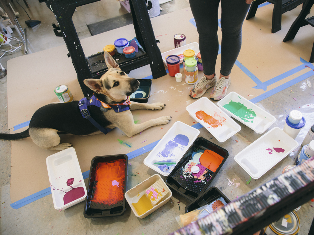 Alex Proba&#x27;s dog with her art