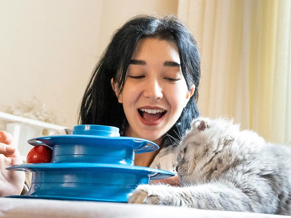 a cat playing with a toy and their pet parent