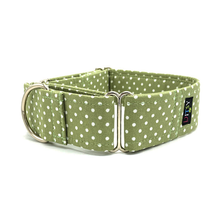 Green Spotted Polka Dot Martingale Collar 