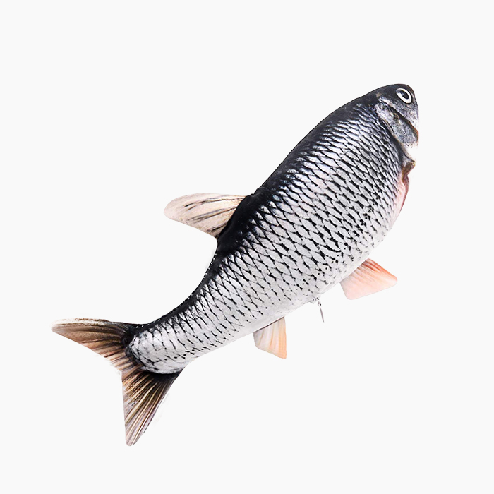 the electric flopping fish toy