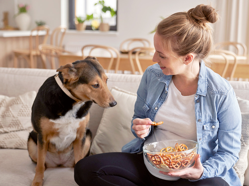 Woman eating pretzels on the couch with her brown dog.