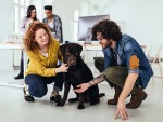 A red-haired woman and a curly haired man kneeling down to pet a chocolate lab dog in the work office
