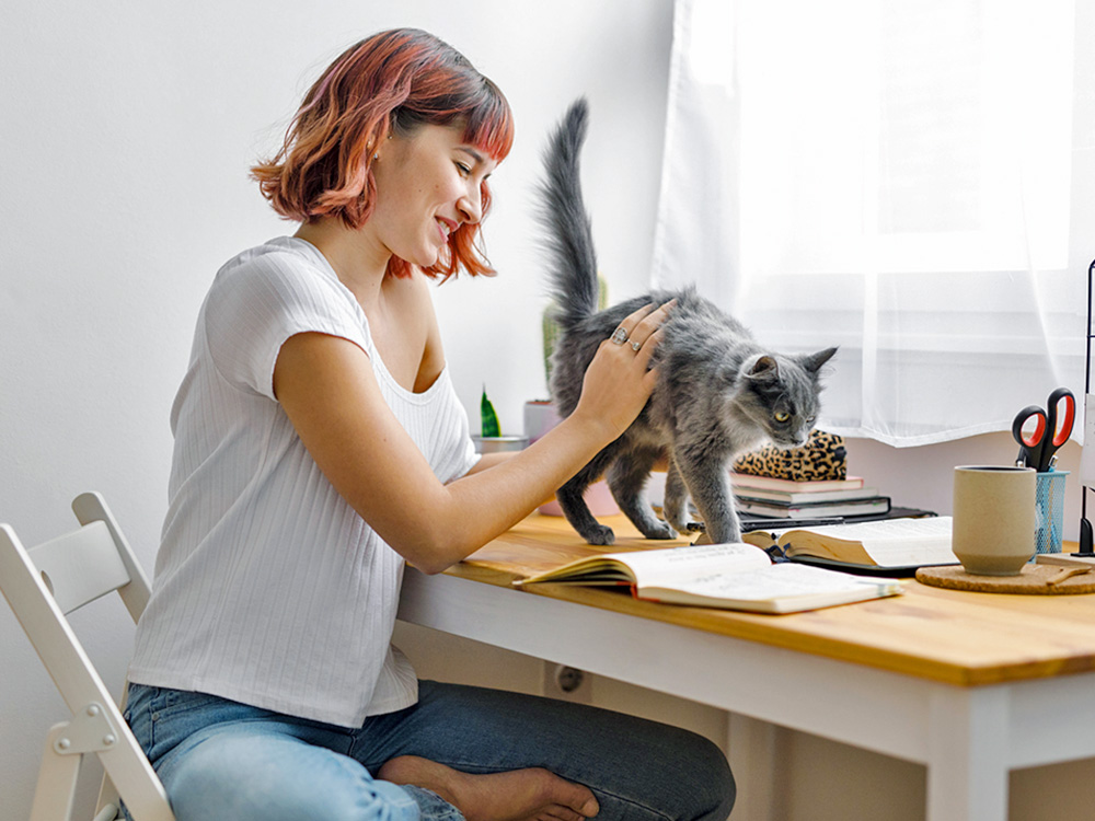 Why Do Cats Put Their Butt in Your Face? · The Wildest