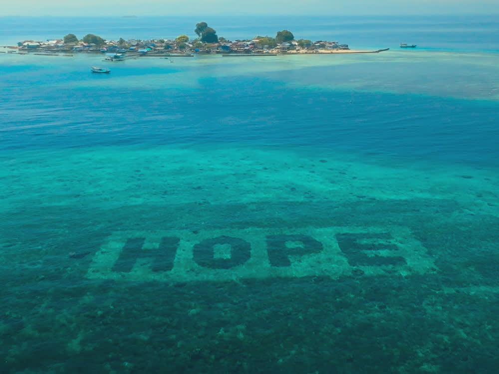 Still image from Reef Builders, a documentary supported by Sheba