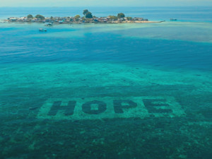 Still image from Reef Builders, a documentary supported by Sheba