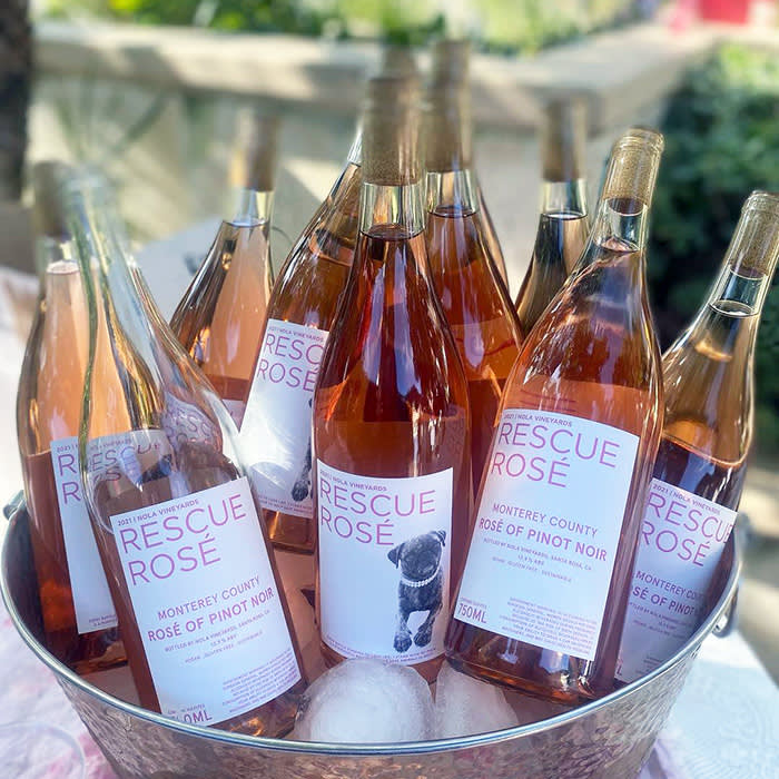 bottles of rescue rose in a bucket of ice
