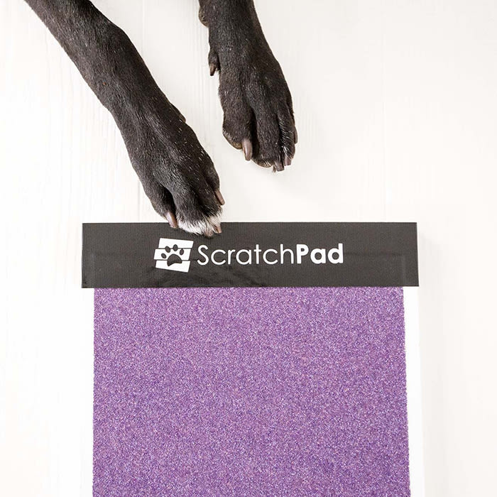 the purple scratch pad in purple