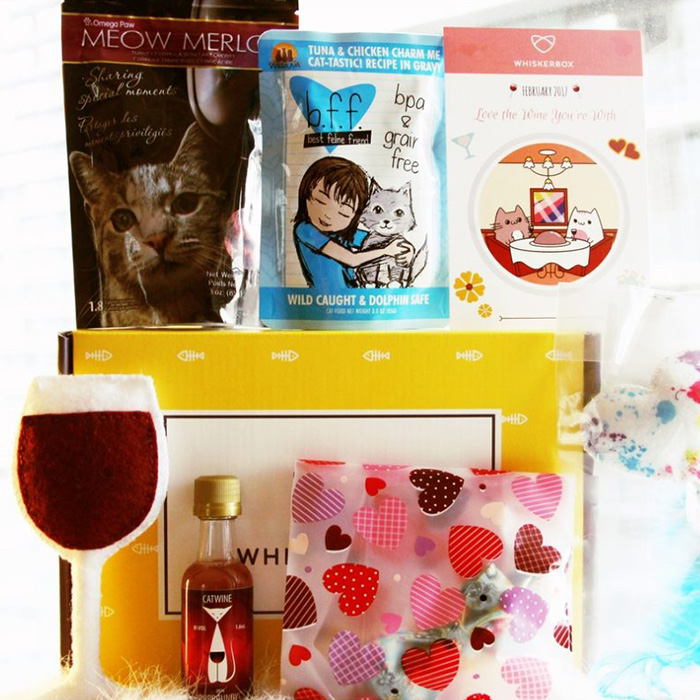whisker box cat subscrption