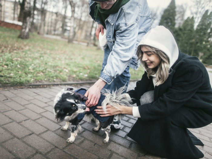 Woman and man petting dog outside 