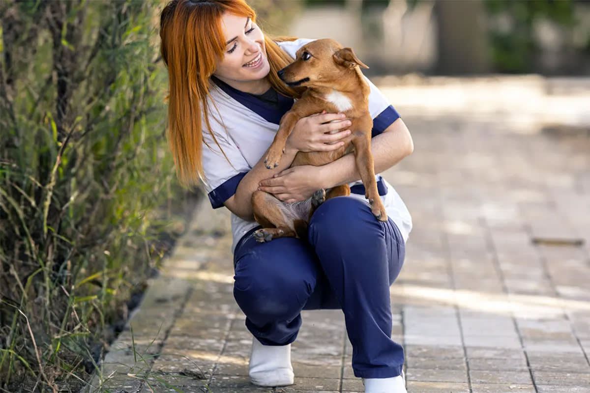 Person holding a dog