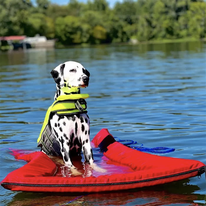 Lazy Dog Lounger Water Raft

