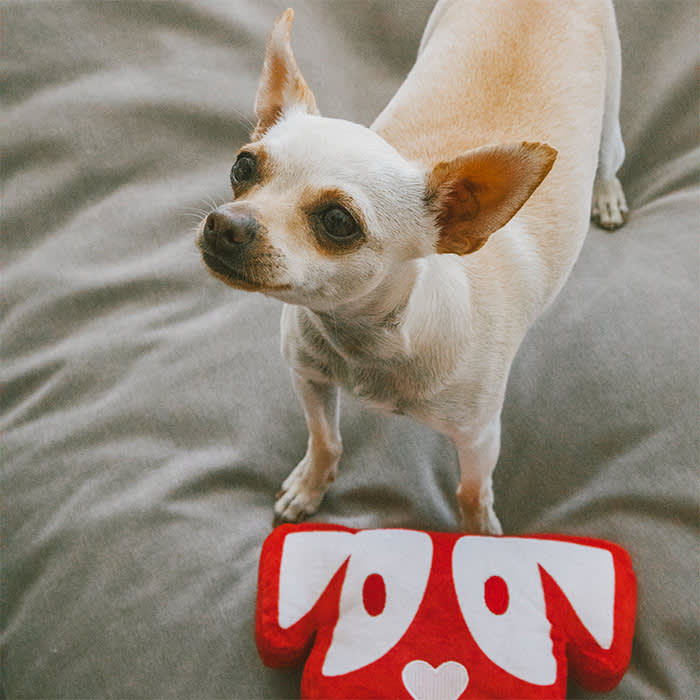 Opal with an Oh Norman toy