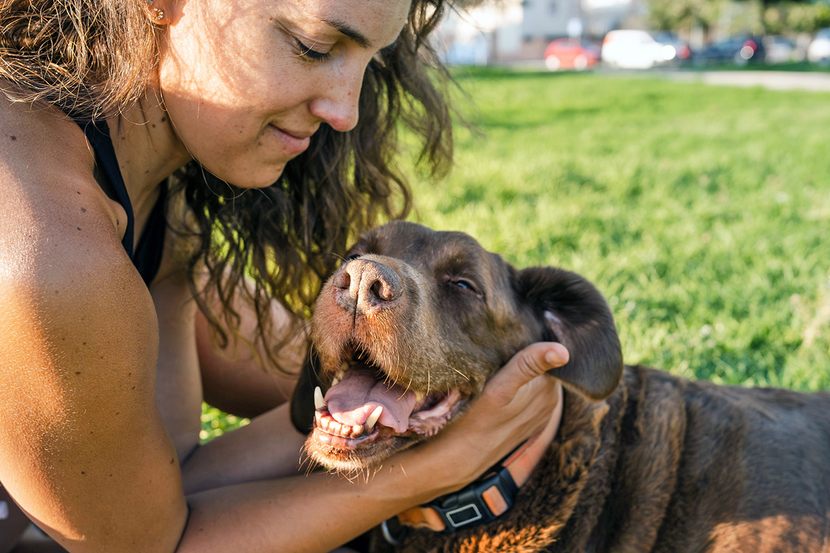 person with a senior dog