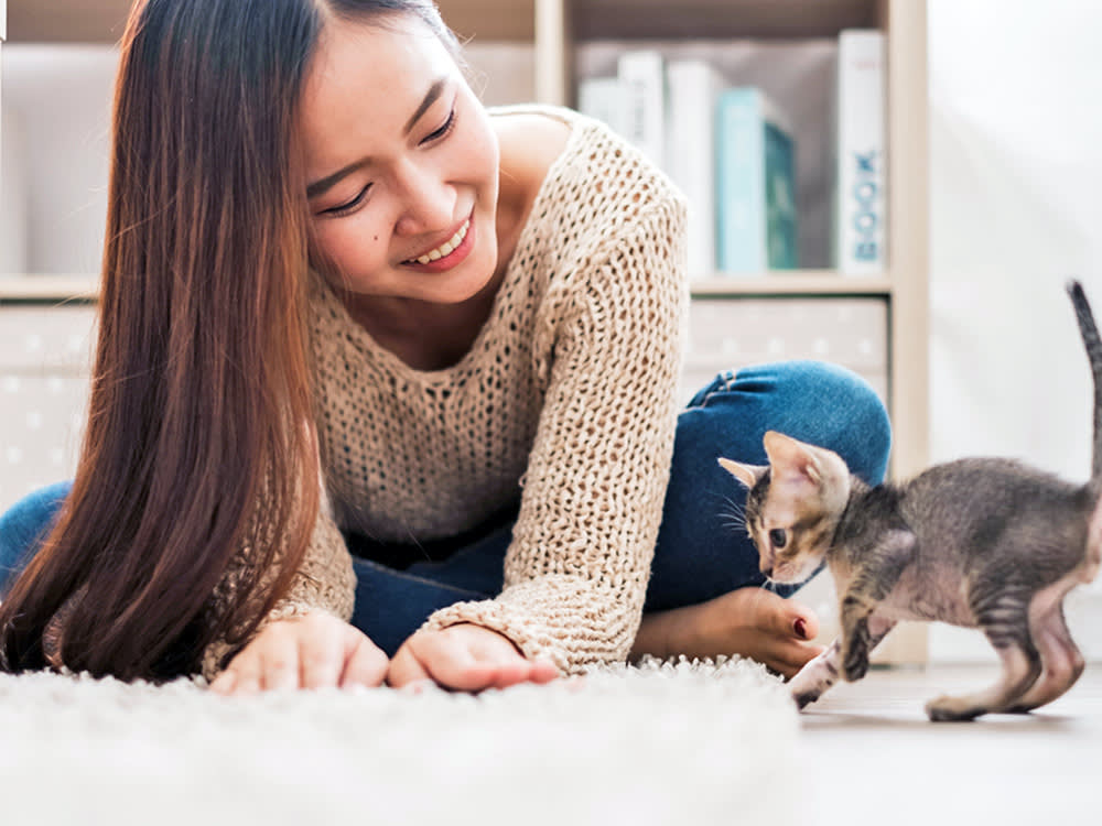 Woman playing at home with her kitten.