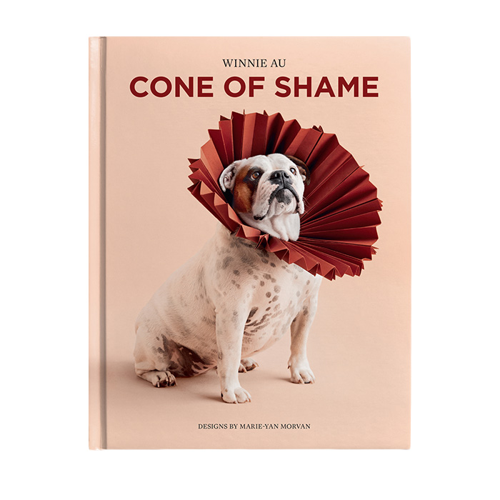 cone of shame book