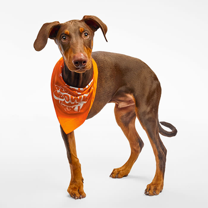 Maxx Puppy Bowl 2025