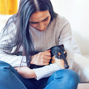 Woman comforting her black Dachshund dog at home.