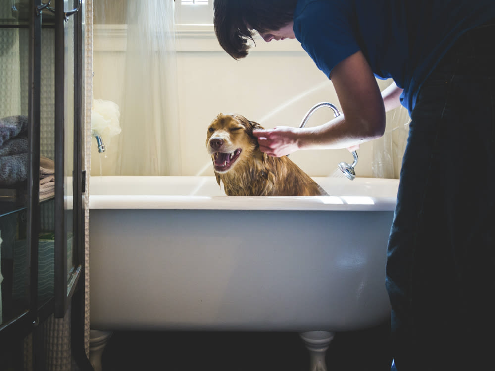 A man giving a dog a bath in a bathtub. 