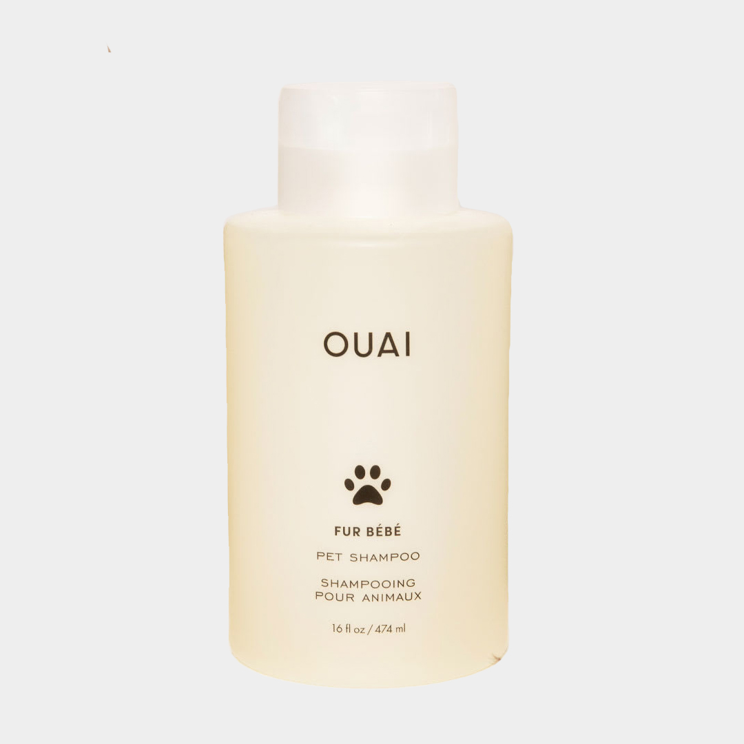 small bottle of dog shampoo