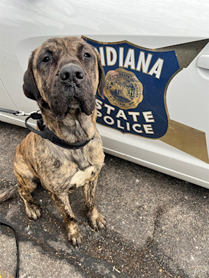 On Tuesday, February 11th, the Indiana State Police were notified of a Facebook post of an SUV that was pulling an open utility trailer that contained a kennel that was unsecured to the trailer.