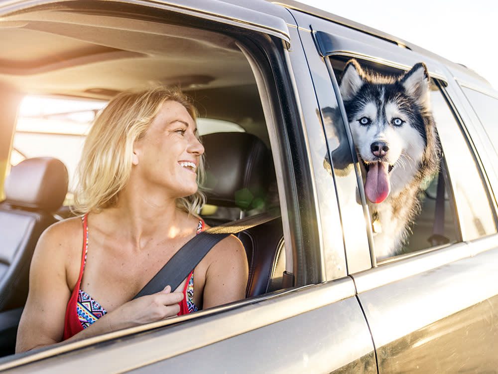 a woman in the driving seat of a car looks back at her husky in the passenger seat out the window