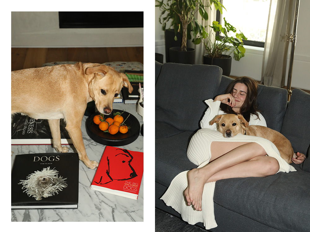 lauren singer and her dog rose