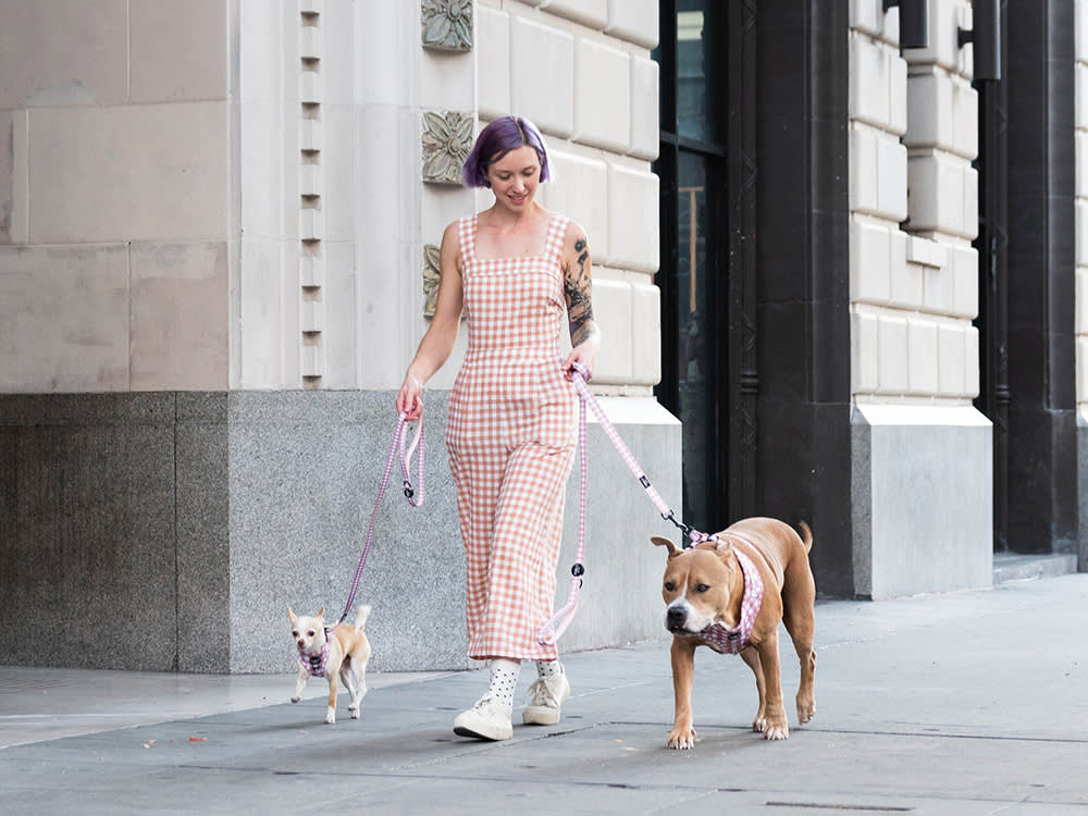 a person in a pink jumpsuit walking two dogs