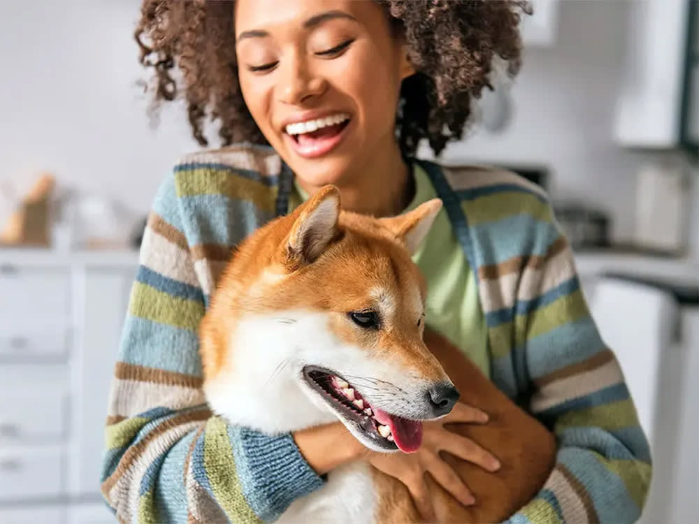 A happy-looking small brown-and-white dog is held by a smiling woman.