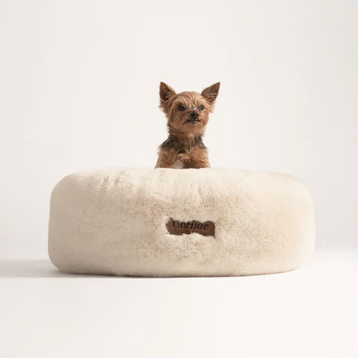 white floof dog bed with dog sitting in it