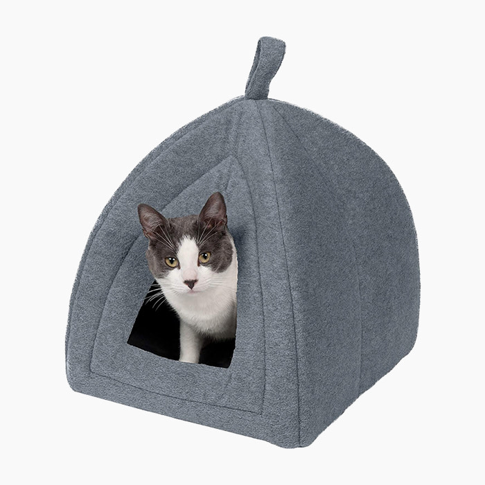 the cat house in gray