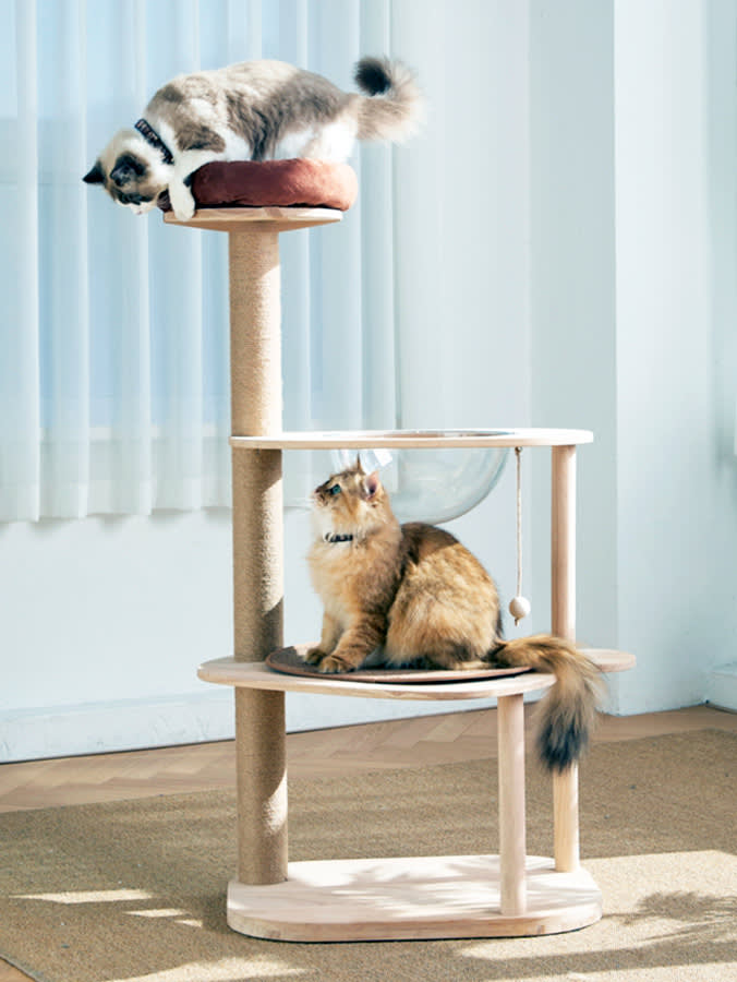 Cats hanging out on a cat tree.