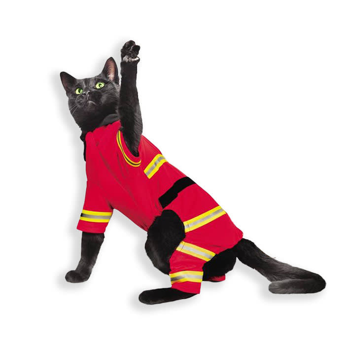 cat in a firefighter costume