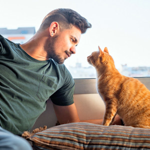 Man looking at his orange cat at home.