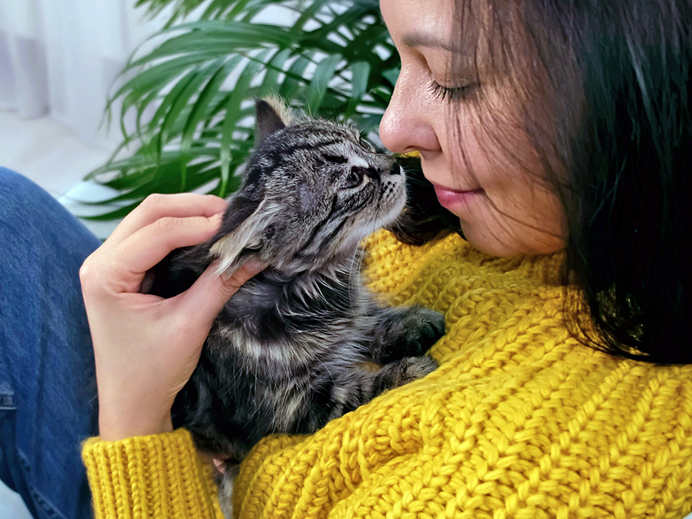 Kitten licking woman's nose on the couch.