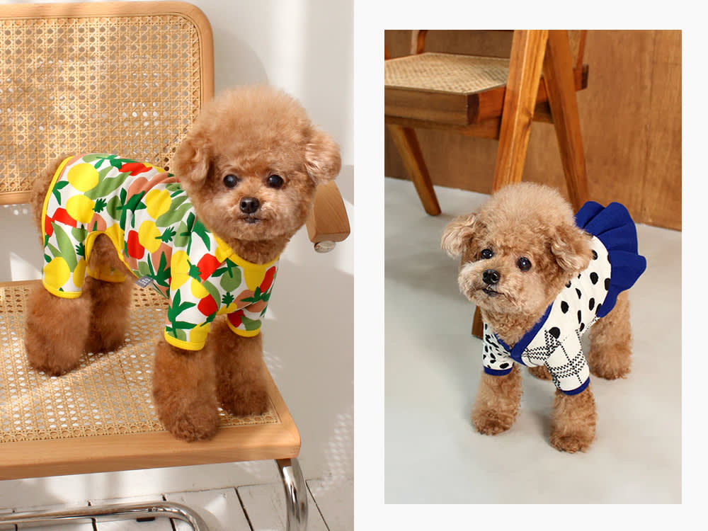 Hurry — Shop This Super Cute Korean Pet Brand While You Still Can ...