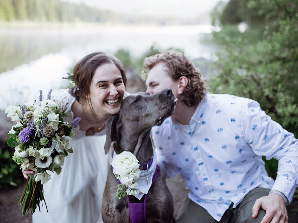 couple getting married with their weimaraner