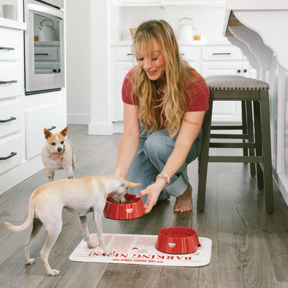 Kaley Cuoco feeds her dogs out of the red Oh Norman! bowls