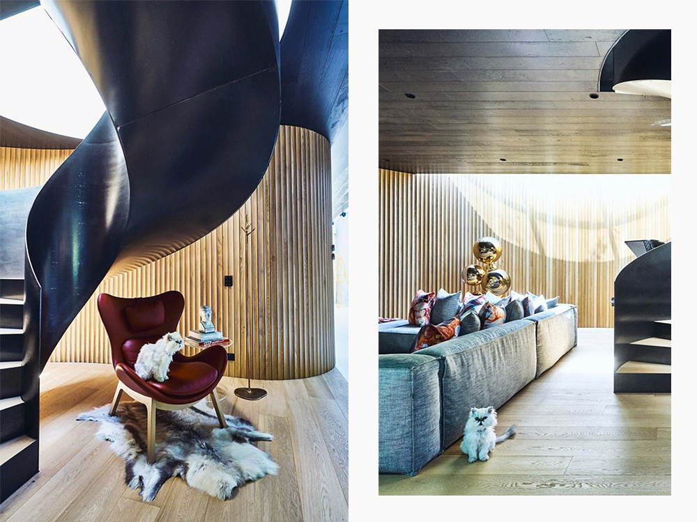 a page from Where They Purr