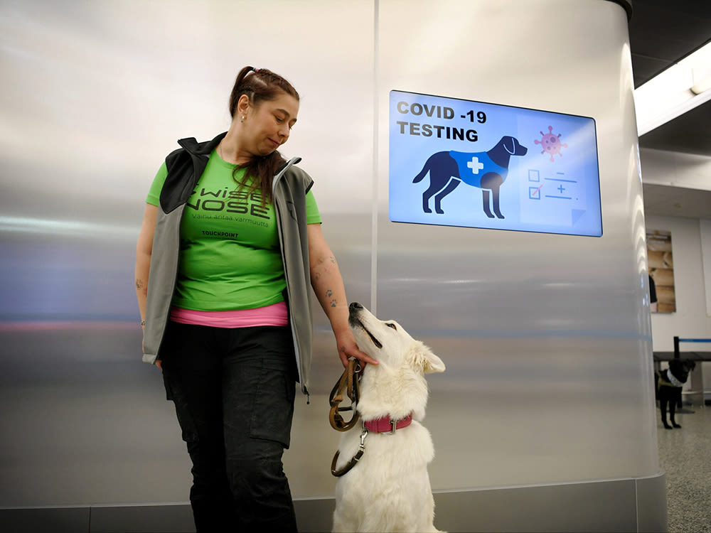 Woman wearing a neon green t-shirt, black pants, and a grey vest gesturing to a white dog on a leash while standing in front of a sign on a metal wall that reads "COVID-19 Testing"