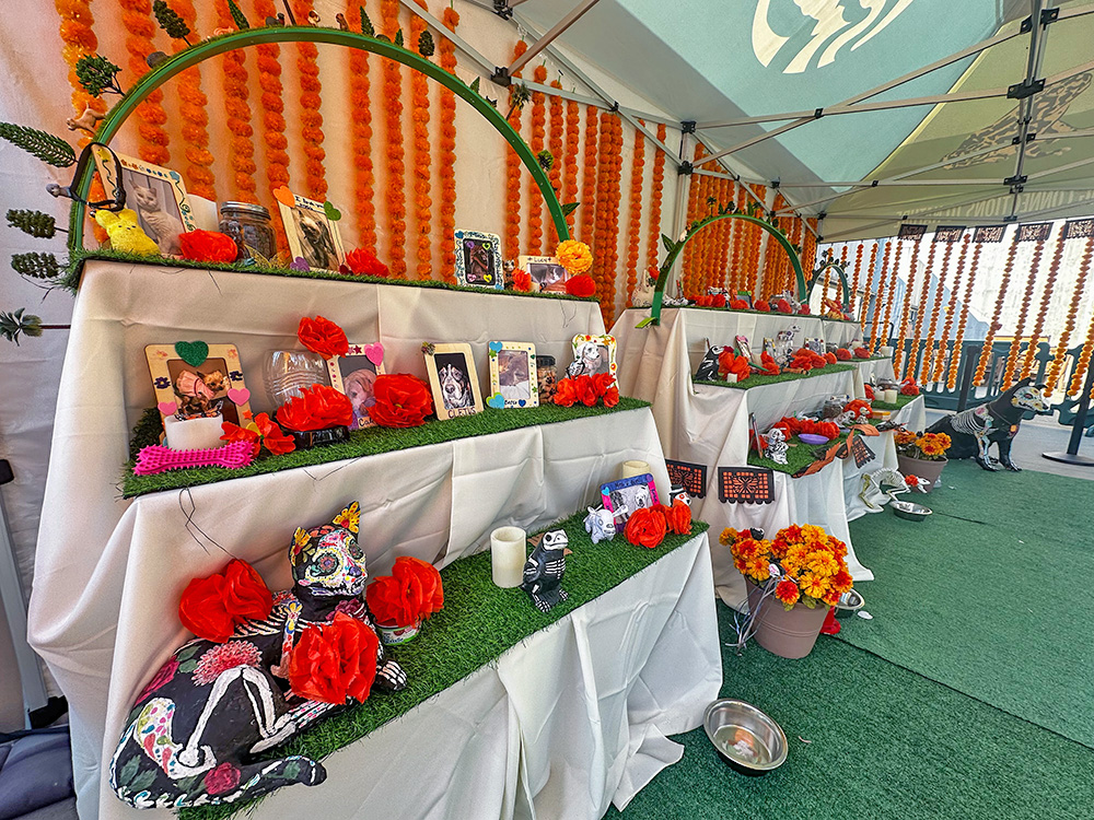 LA Zoo Beloved Pets Ofrenda