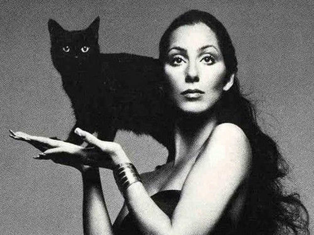 Black cats fashion and witches