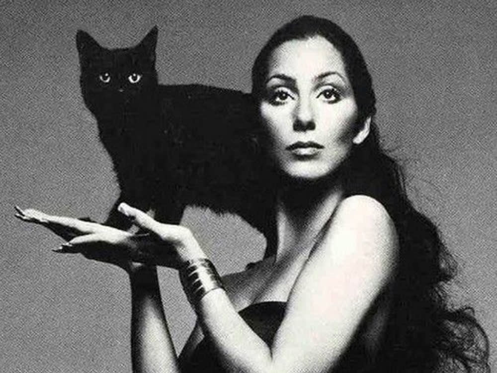 cher album cover "dark lady" with black cat