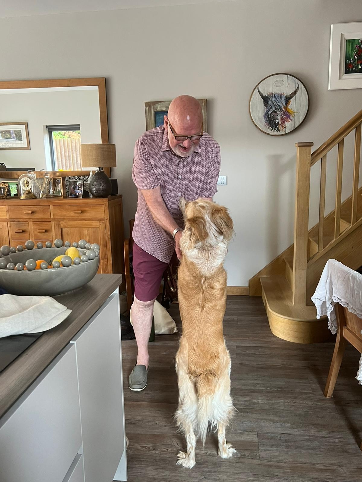 a golden dog jumps with their paws on the shoulders of an older man